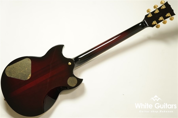 SG3000 Custom - WR