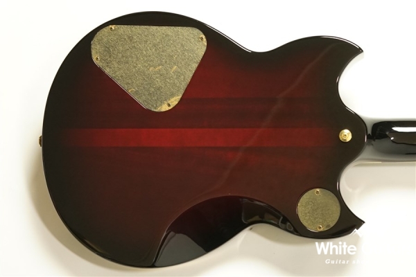 SG3000 Custom - WR