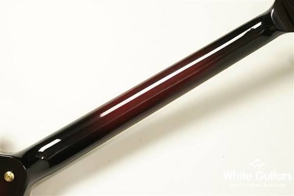 SG3000 Custom - WR
