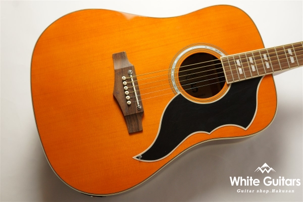 EKO Ranger 6 EQ - NAT | White Guitars Online Store