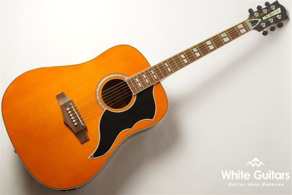 EKO Ranger 6 EQ - NAT | White Guitars Online Store