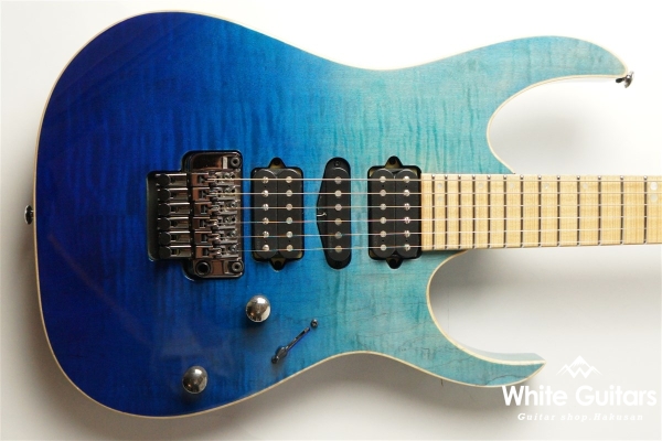 RG6PCMLTD Blue Reef Gradation