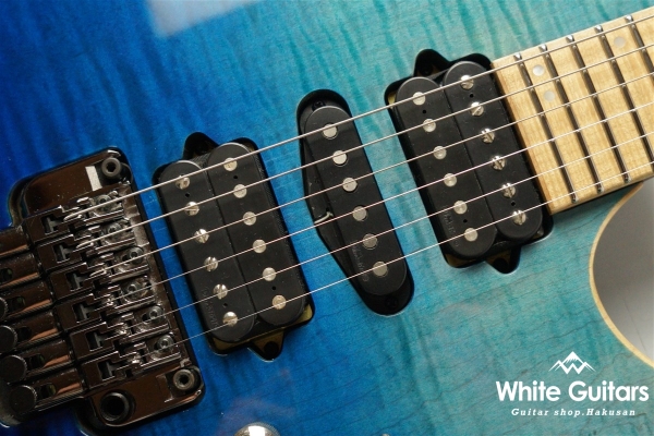 RG6PCMLTD Blue Reef Gradation