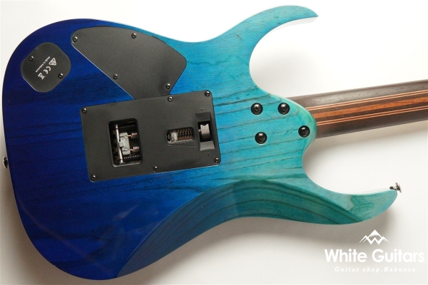 RG6PCMLTD Blue Reef Gradation