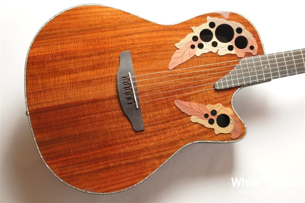 【The Celebrity Collection】 Celebrity Elite Exotic Mid Depth(CE44P)- Figured Koa