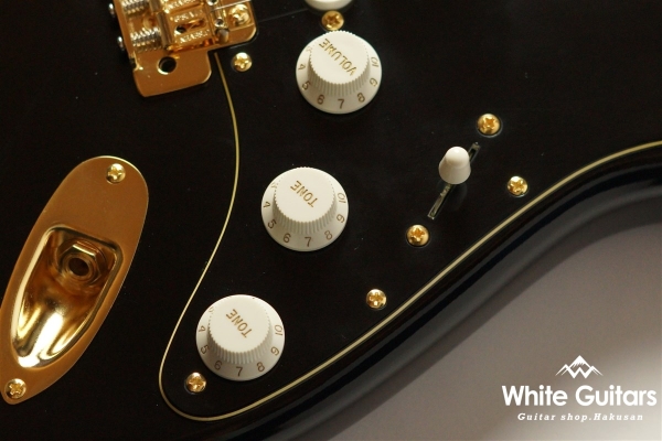 g7-ST/R GG - Black Beauty[Half Vintage Finish]