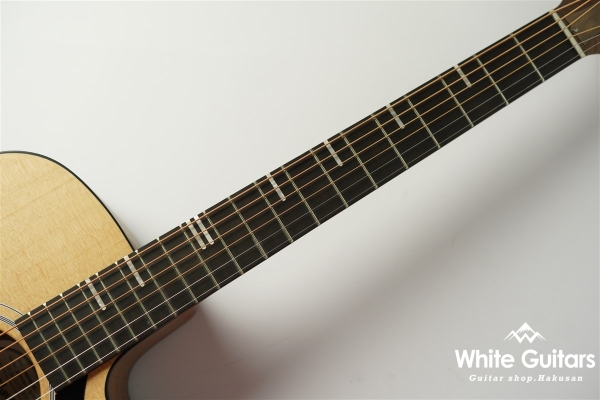 G-Writer EC