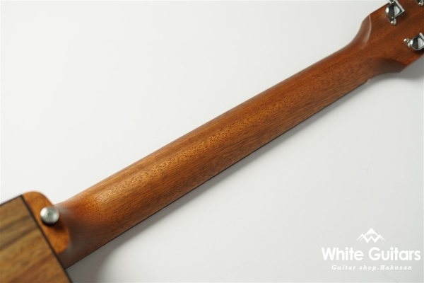 G-Writer EC