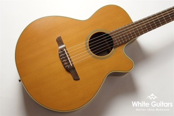 Takamine NPT-110N | White Guitars Online Store