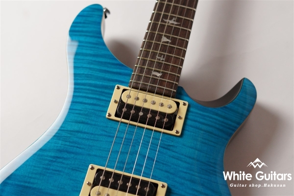 SE Custom 22 - Sapphire