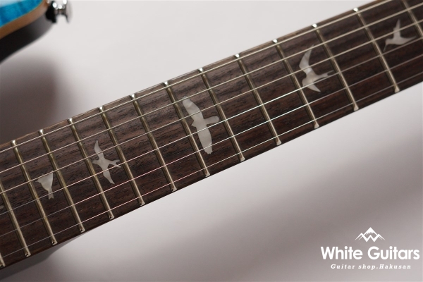 SE Custom 22 - Sapphire