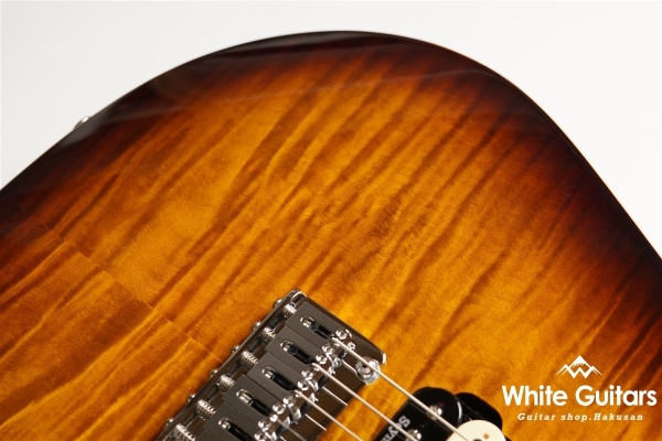 NV-3-24-AL-VTR - Bengal Burst #S2201162