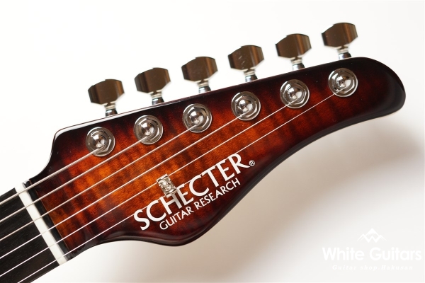 NV-3-24-AL-VTR - Bengal Burst #S2201162