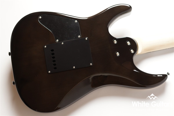 NV-3-24-AL-VTR - Bengal Burst #S2201162