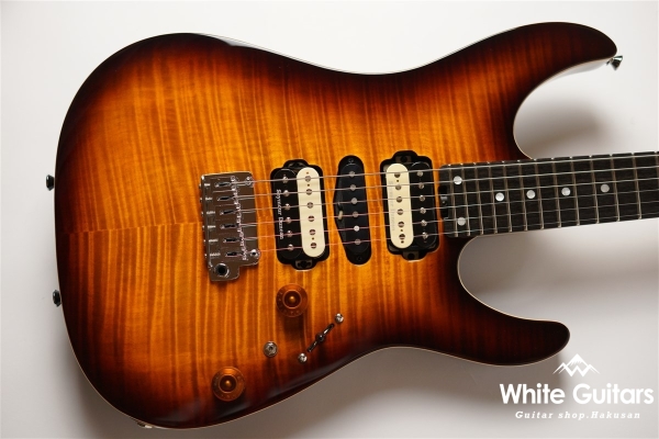 NV-3-24-AL-VTR - Bengal Burst #S2201160