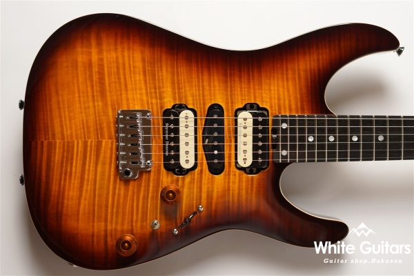 NV-3-24-AL-VTR - Bengal Burst #S2201160