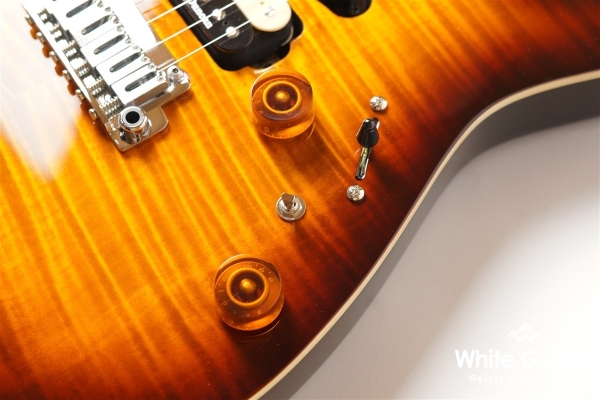 NV-3-24-AL-VTR - Bengal Burst #S2201160