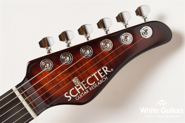 NV-3-24-AL-VTR - Bengal Burst #S2201160