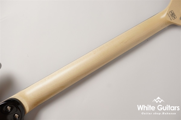 NV-3-24-AL-VTR - Bengal Burst #S2201160