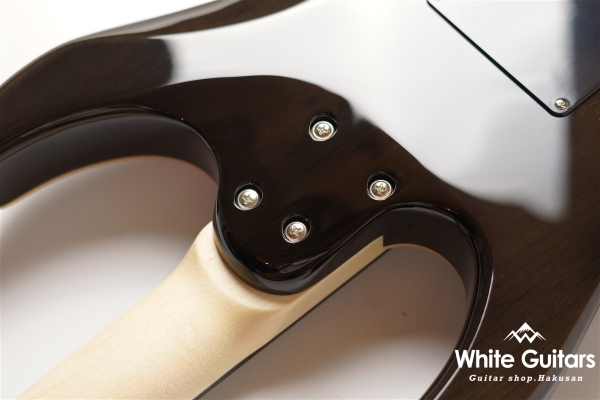 NV-3-24-AL-VTR - Bengal Burst #S2201160