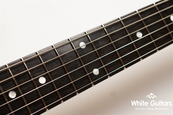 NV-3-24-AL-VTR - Bengal Burst #S2201160