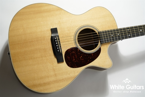 GPC-16E-01 Rosewood