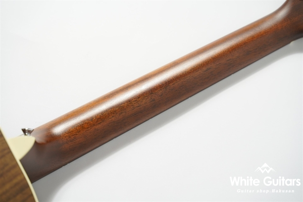 GPC-16E-01 Rosewood