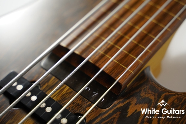 LS549 Fretless