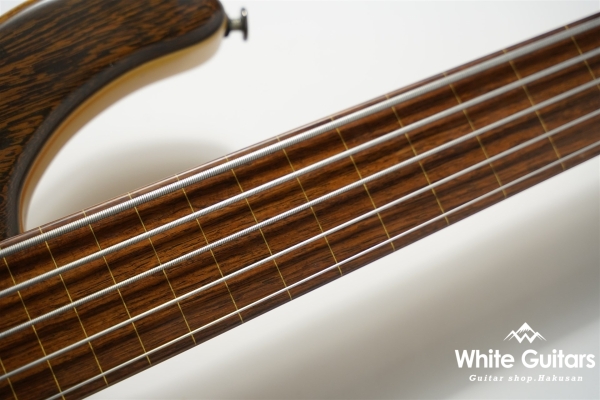 LS549 Fretless