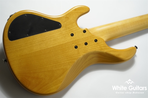 LS549 Fretless