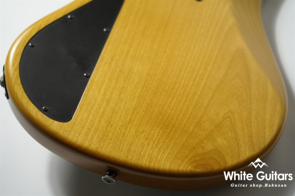 LS549 Fretless