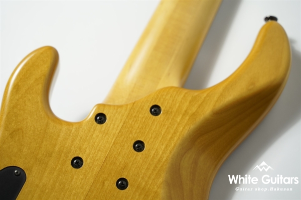 LS549 Fretless