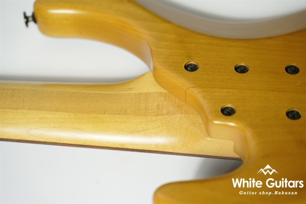 LS549 Fretless