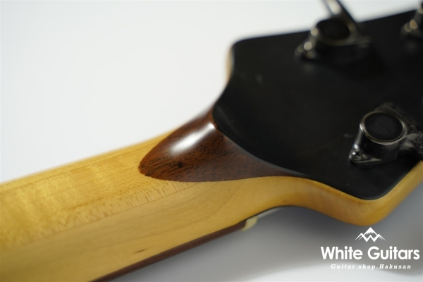 LS549 Fretless