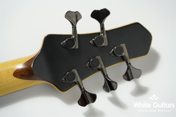 LS549 Fretless