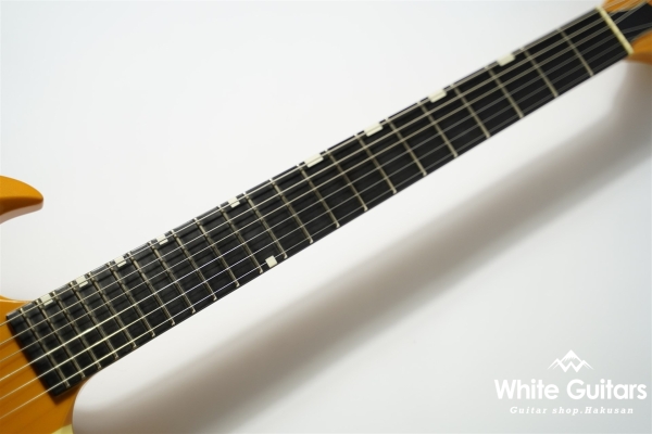 SG Type Custom Order