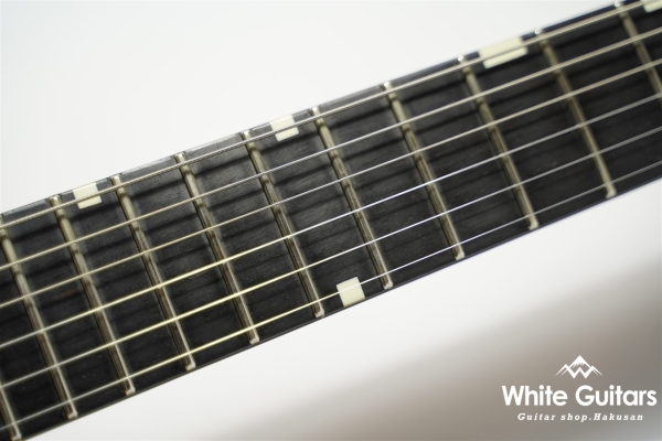 SG Type Custom Order