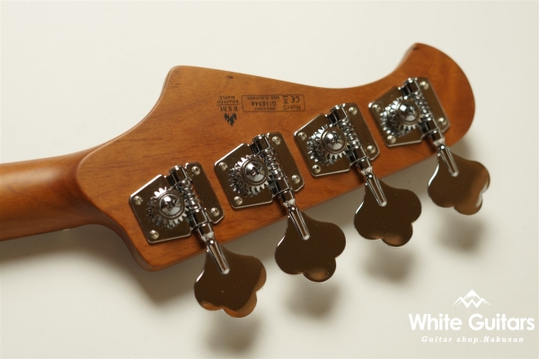 WL4-STD/RSM - S-SW