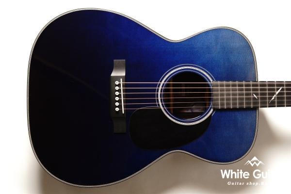 The Eagle/STD Type F B-GRD 【Deviser One Day Guitar Show 2023】