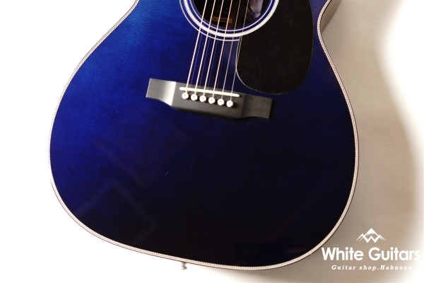 The Eagle/STD Type F B-GRD 【Deviser One Day Guitar Show 2023】