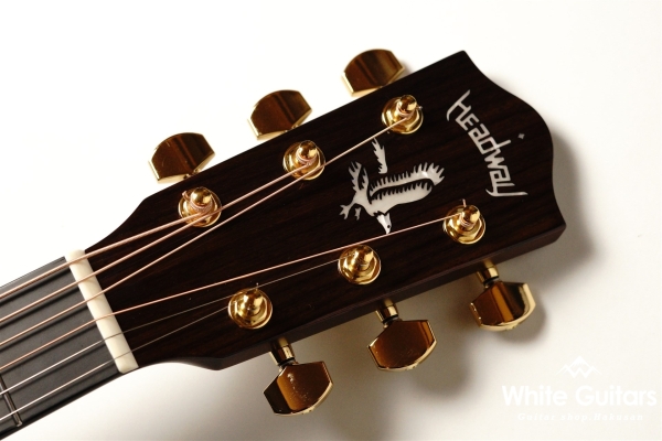 The Eagle/STD Type F B-GRD 【Deviser One Day Guitar Show 2023】