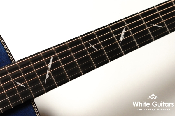 The Eagle/STD Type F B-GRD 【Deviser One Day Guitar Show 2023】