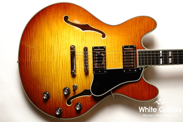 T486 - Gold Burst