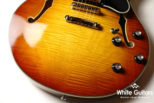 T486 - Gold Burst