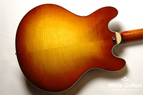 T486 - Gold Burst