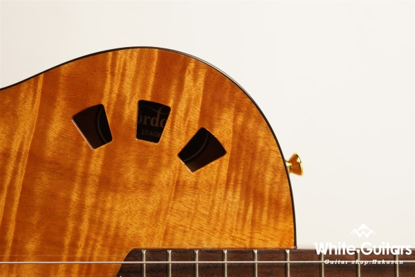 Cordoba STAGE GUITAR Natural Amber