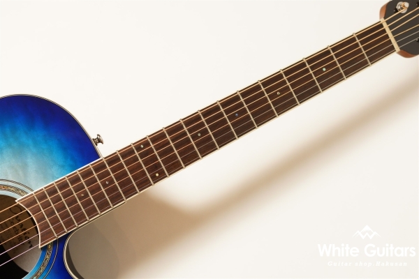 Celebrity Standard Plus Super Shallow CS28P-RG