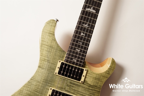 SE custom24 - Trampas Green