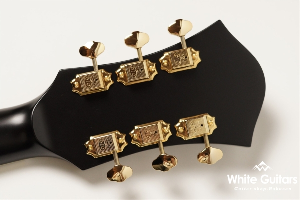 Ladybug-CB BG-CTM Bigsby - Matte Black (Lacquer)#RZ0711