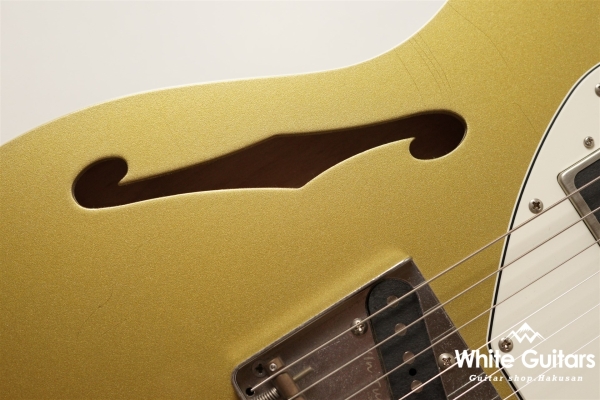 TRAD MASTER DELTA-CP/BB - Shoreline Gold -  Light Aged #24C24